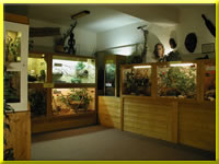 Unsere Ausstellung