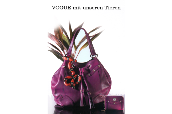 Wir mit der VOGUE